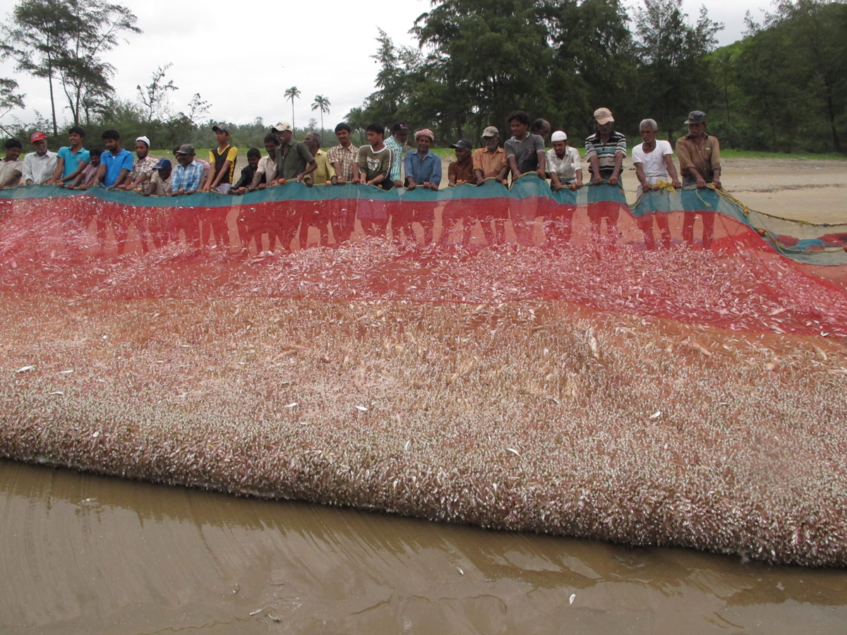 Community Fishing