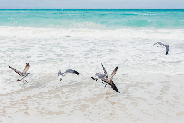 funnl_onbeach